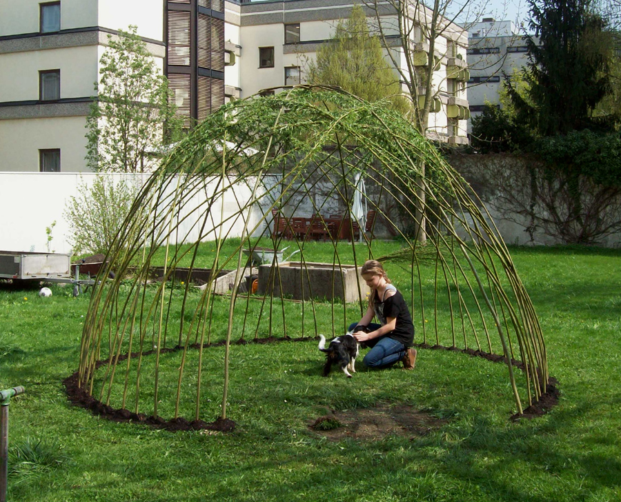weidenlaube frisch gepflanzt | Garten, Garten anpflanzen, Sommergarten