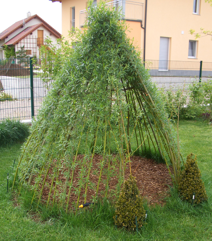 moderne gartengestaltung garten pflanzen kies betonmauer sichtschutz    